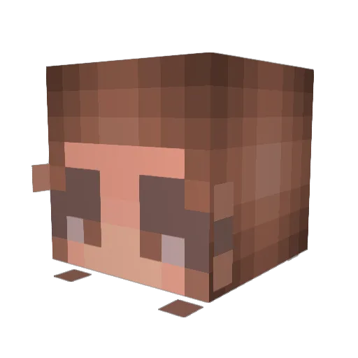 Evad77 Minecraft avatar head, 3D render