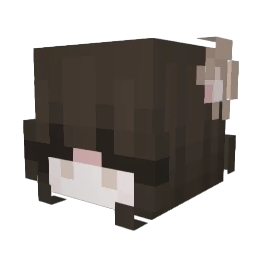 EvadedBear Minecraft avatar head, 3D render