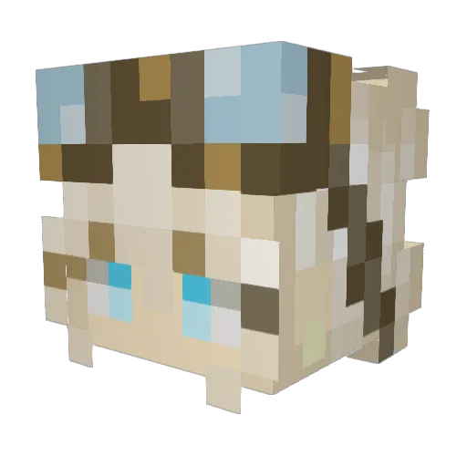 Evairel Minecraft avatar head, 3D render