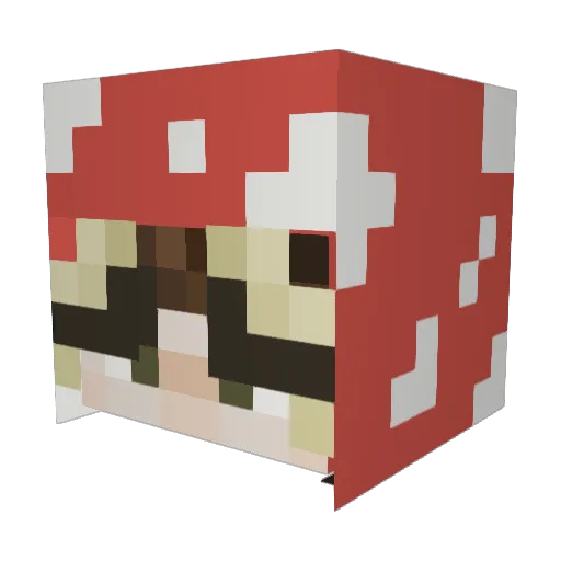 Evaisnotok Minecraft avatar head, 3D render