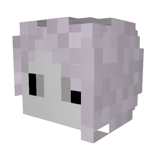 Evallyth Minecraft avatar head, 3D render