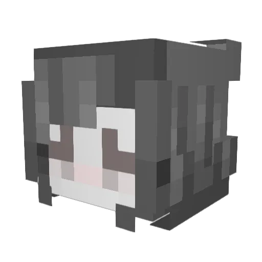 Evalon1127 Minecraft avatar head, 3D render