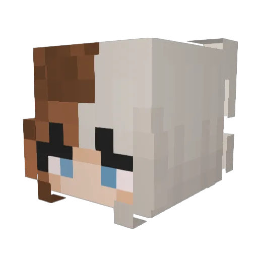 Evalri_ Minecraft avatar head, 3D render