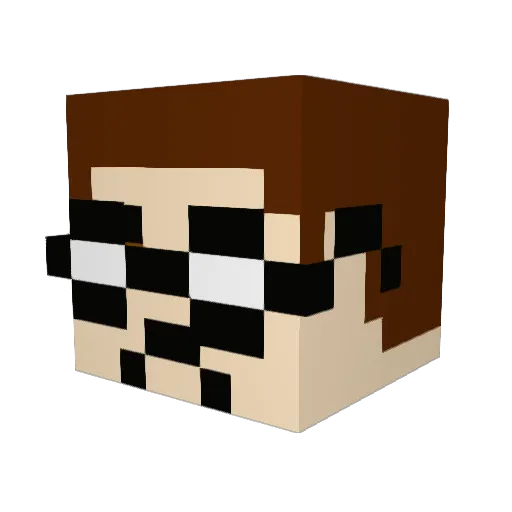 Evan016 Minecraft avatar head, 3D render
