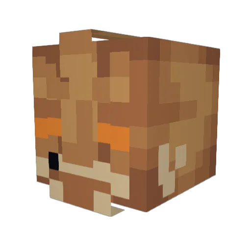 Evan09030 Minecraft avatar head, 3D render