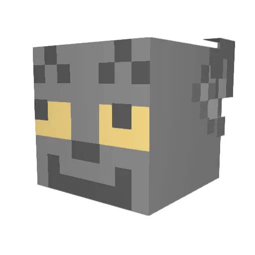 Evan1238 Minecraft avatar head, 3D render