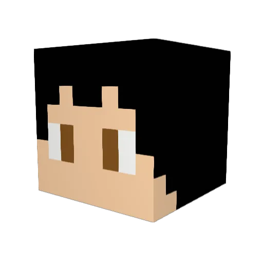 Evan2669 Minecraft avatar head, 3D render