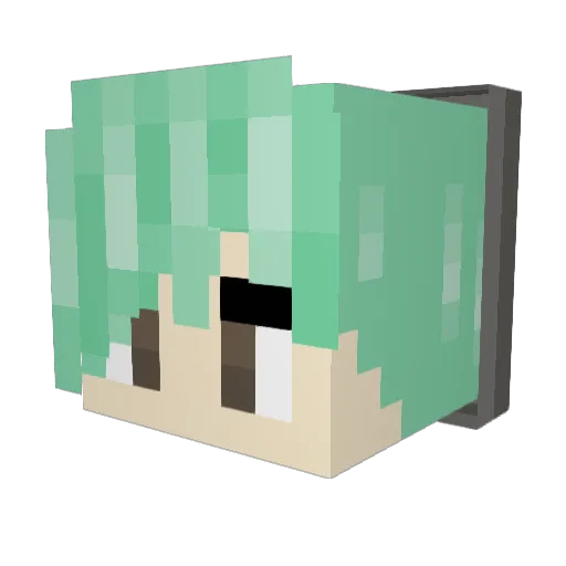 Evan272 Minecraft avatar head, 3D render