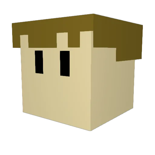 Evan41106 Minecraft avatar head, 3D render