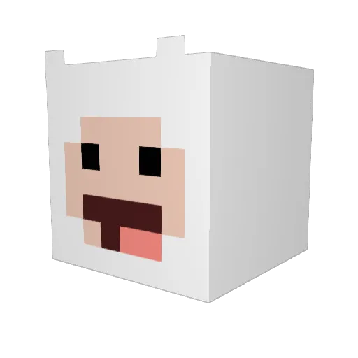 EvanCad Minecraft avatar head, 3D render