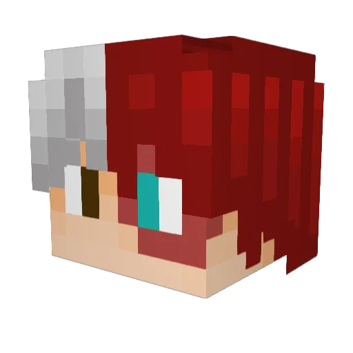 EvanEssence Minecraft avatar head, 3D render