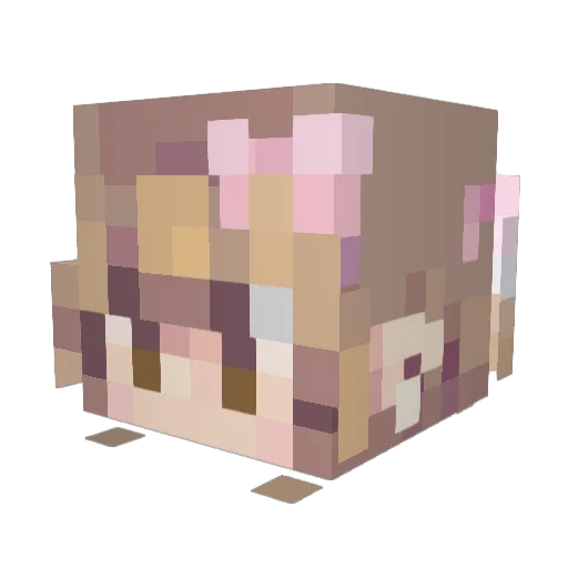 EvanG458 Minecraft avatar head, 3D render