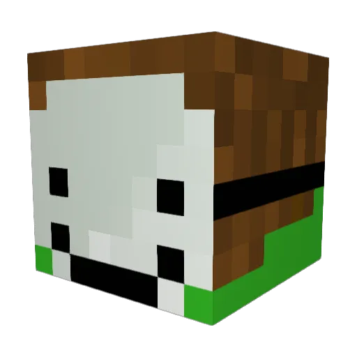 EvanJPoo Minecraft avatar head, 3D render