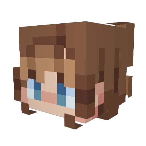 EvanKN Minecraft avatar head, 3D render