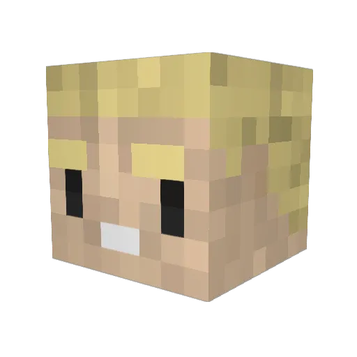 EvanMill Minecraft avatar head, 3D render