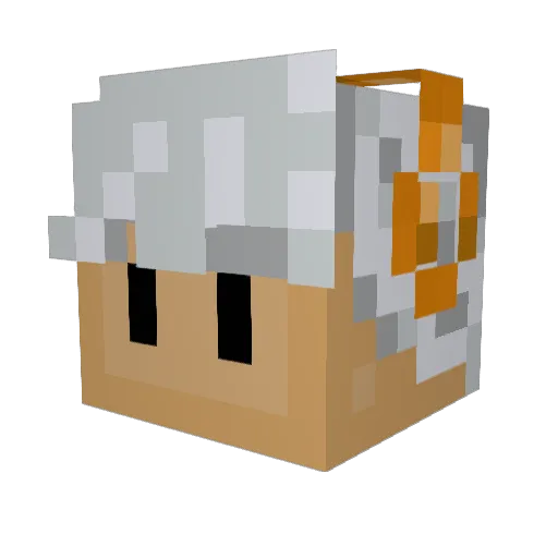 EvanOnTop Minecraft avatar head, 3D render