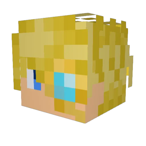 EvanPlus1 Minecraft avatar head, 3D render