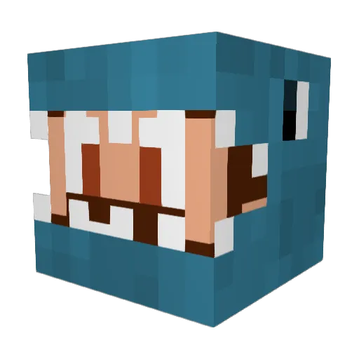 EvanWoods Minecraft avatar head, 3D render