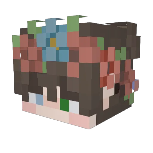 Evan_Carter Minecraft avatar head, 3D render