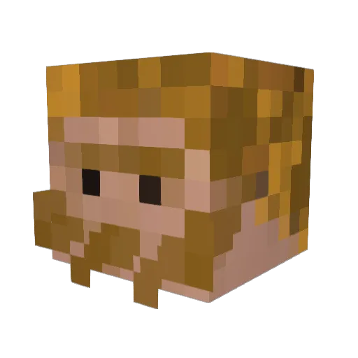 Evan_welsh Minecraft avatar head, 3D render