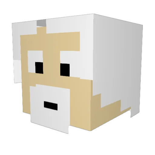 Evanbuscus8 Minecraft avatar head, 3D render
