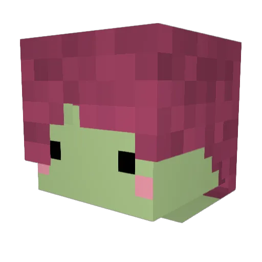 Evandolin Minecraft avatar head, 3D render