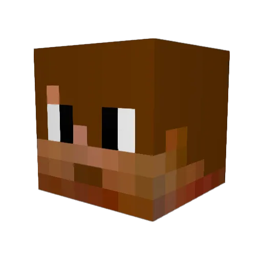 Evanevan59 Minecraft avatar head, 3D render