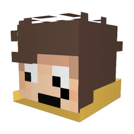 Evanno0 Minecraft avatar head, 3D render