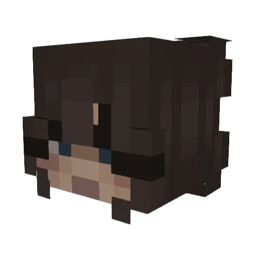 Evans9940 Minecraft avatar head, 3D render