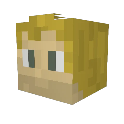EvansRock97 Minecraft avatar head, 3D render