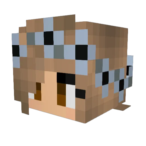 Evansofly Minecraft avatar head, 3D render