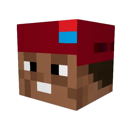 Evanston_22 Minecraft avatar head, 3D render