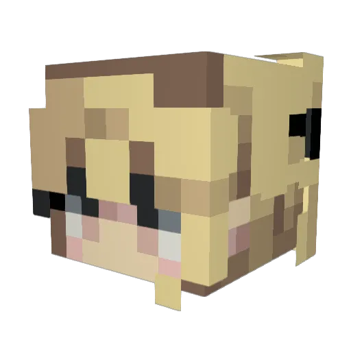 Evanthe_ Minecraft avatar head, 3D render