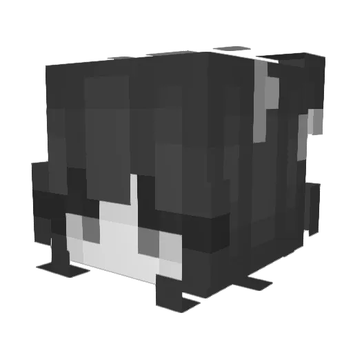 Evantw0919 Minecraft avatar head, 3D render