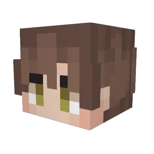 Evanzaw Minecraft avatar head, 3D render