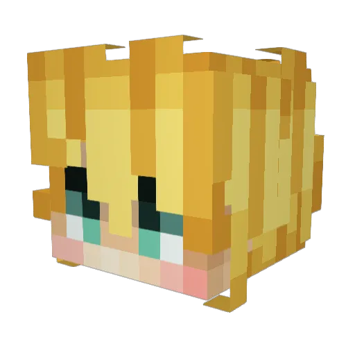 EvasiveSquid783 Minecraft avatar head, 3D render