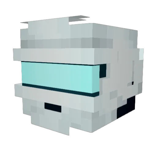 Evatheawesome25 Minecraft avatar head, 3D render