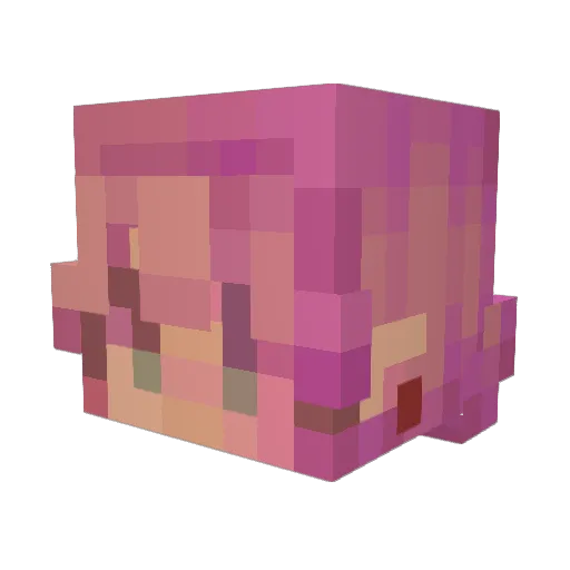 Eve_eve143 Minecraft avatar head, 3D render