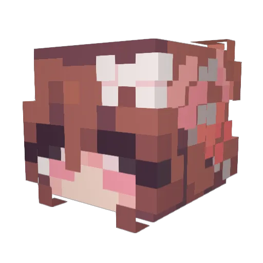 Evee2884 Minecraft avatar head, 3D render