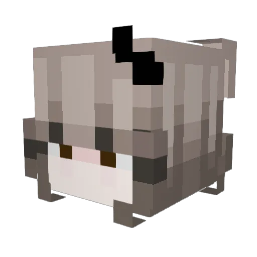 Evee_cat Minecraft avatar head, 3D render