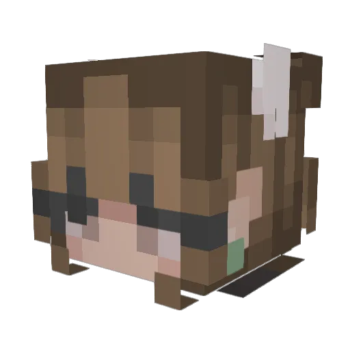 Eveeonz Minecraft avatar head, 3D render