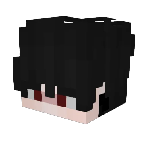 EvelStepladder Minecraft avatar head, 3D render