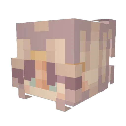 Evelliiz Minecraft avatar head, 3D render