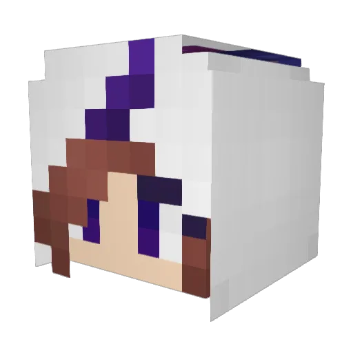 Evelo2016 Minecraft avatar head, 3D render