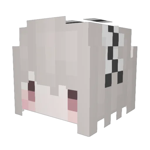 Evelyn0807 Minecraft avatar head, 3D render