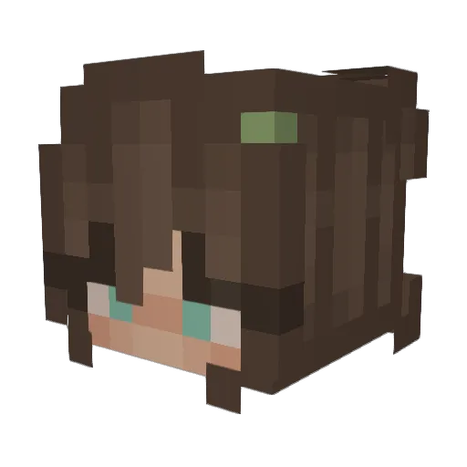 Evelyn998 Minecraft avatar head, 3D render
