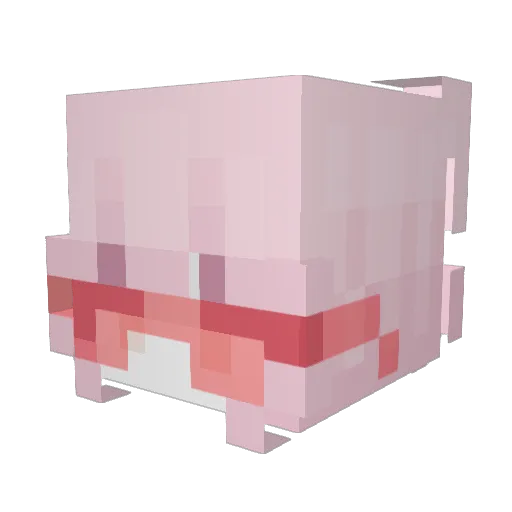 EvelynFoster Minecraft avatar head, 3D render