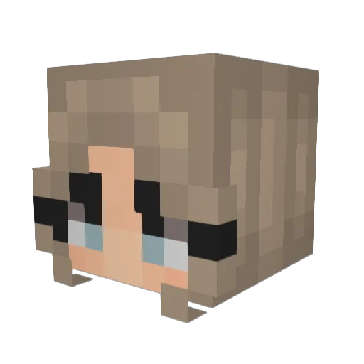Evelynn2260 Minecraft avatar head, 3D render