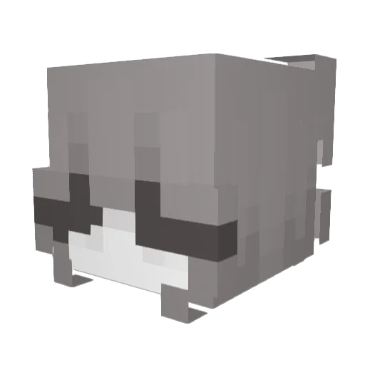 EvelynnnMC Minecraft avatar head, 3D render