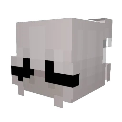 Evelynthecat_19 Minecraft avatar head, 3D render